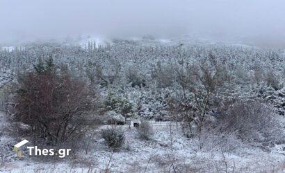 Θεσσαλονίκη: Πτώση κατά 18 βαθμούς παρουσίασε η θερμοκρασία σε λιγότερο από ένα 24ωρο (ΠΙΝΑΚΑΣ)