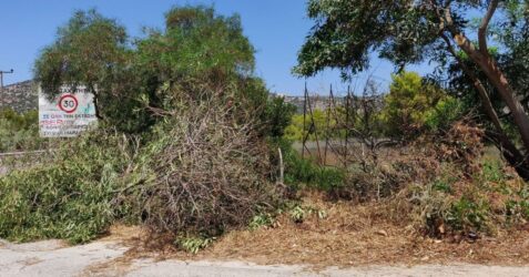 Οικολόγοι Πράσινοι: “Εφτά περιοχές, κιβωτοί φυσικού πλούτου της Ευρώπης σε κίνδυνο”