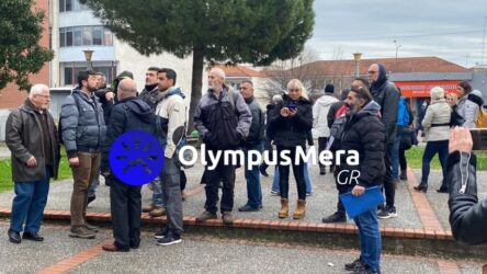 Κατερίνη: Ενταση έξω από τα δικαστήρια ανάμεσα σε γονείς και υποστηρικτές των “Θεματοφυλάκων” (ΒΙΝΤΕΟ)