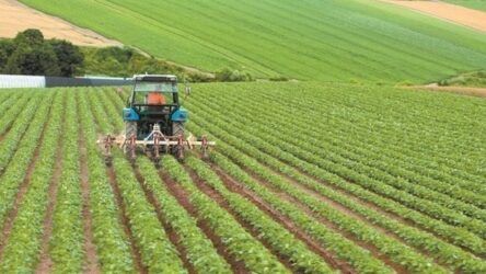 Λιβανός: “Μεγάλη ανταπόκριση για τα προγράμματα των Νέων Αγροτών”