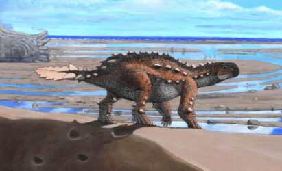 Ανακαλύφθηκε νέο είδος δεινοσαύρου που έχει ουρά σαν… πριόνι