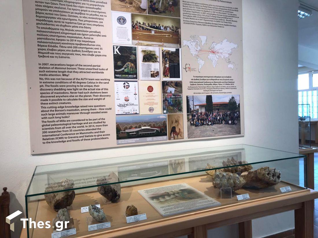 Μουσείο Φυσικής Ιστορίας Μηλιάς Γρεβενών