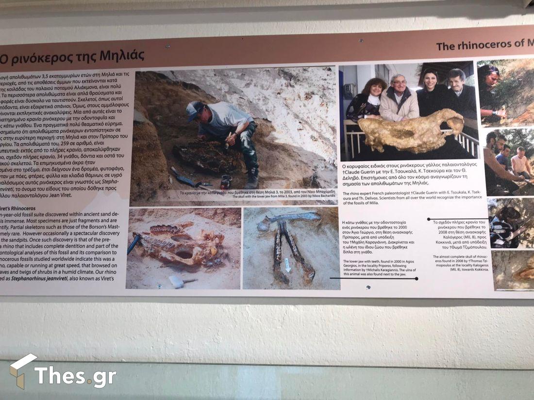 Μουσείο Φυσικής Ιστορίας Μηλιάς Γρεβενών