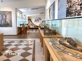 Ξενάγηση στο Μουσείο Φυσικής Ιστορίας στη Μηλιά Γρεβενών (ΒΙΝΤΕΟ & ΦΩΤΟ)