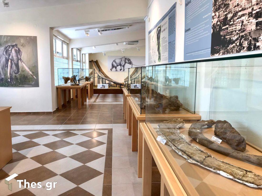 Μουσείο Φυσικής Ιστορίας Μηλιάς Γρεβενών