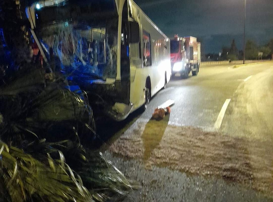 τροχαίο