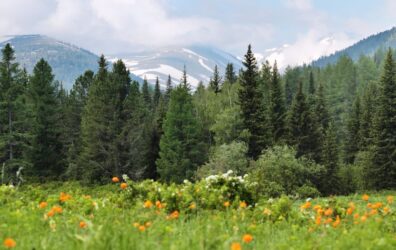 καιρός Natura 2000