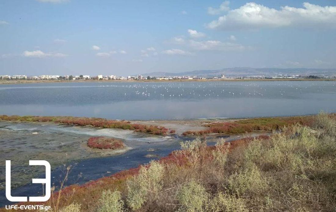 ανάπλαση παραλιακού μετώπου