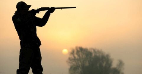 Οικολόγοι Πράσινοι: “Πόσα ακόμα θύματα θα θρηνήσουμε από το κυνήγι;”