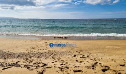 Νάξος: Εντοπίστηκαν δύο σοροί σε παραλία – Η μία ανήκει σε παιδί