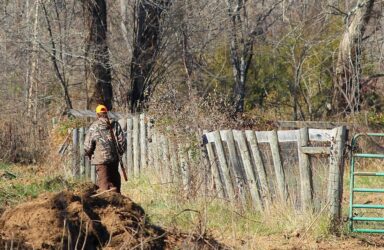 Προσωρινή απαγόρευση του κυνηγιού στην Κεντρική Μακεδονία, προτείνει η “Οικολογία-Πράσινη Λύση”