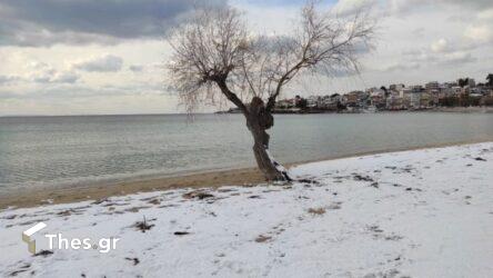 Χαλκιδική: Δίπλα στο κύμα έφτασαν τα χιόνια στον Μαρμαρά (ΒΙΝΤΕΟ & ΦΩΤΟ)