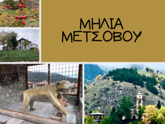 Μηλιά: Το βλαχοχώρι της Πίνδου με την αγνή ομορφιά και τη συγκινητική ιστορία της βαλσαμωμένης αρκούδας (ΒΙΝΤΕΟ)