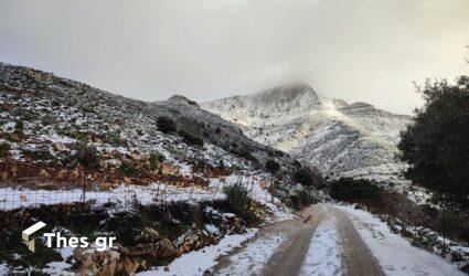 Κακοκαιρία Ελπίς: Στα “λευκά” ντύθηκε και η Νάξος (ΦΩΤΟ)