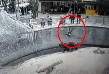 Σοκ: Μητέρα έριξε τρίχρονο παιδί σε κλουβί με αρκούδα (ΒΙΝΤΕΟ)