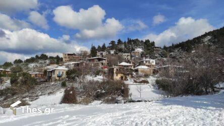 Η κακοκαιρία “Ελπίς” έντυσε στα λευκά την Χαλκιδική (ΦΩΤΟ)