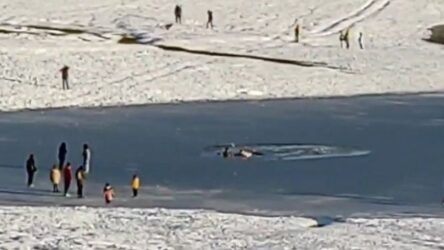 Εσπασε ο πάγος στη λίμνη Πλαστήρα – Επισκέπτες βρέθηκαν στο νερό (ΒΙΝΤΕΟ)