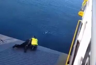 Πλήρωμα φέρι-μποτ έσωσε σκυλάκι που βρέθηκε στα ανοιχτά (BINTEO)
