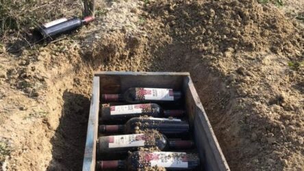 Χαλκιδική: “Θάβουν” στη γη μπουκάλια με κρασί για υπεδάφια παλαίωση