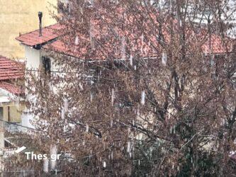 Καιρός: «Βροχές μέχρι την Τρίτη και θυελλώδεις βοριάδες», προβλέπει ο Κλέαρχος Μαρουσάκης