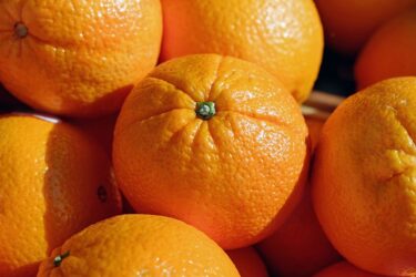 Πορτοκάλια: Ενισχύουν σημαντικά το ανοσοποιητικό μας