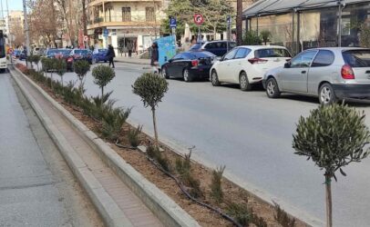 Θεσσαλονίκη: Αναβαθμίστηκε το πράσινο στη νησίδα της Παπαναστασίου