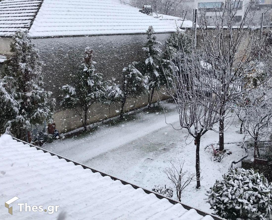 Αιγίνιο Πιερίας