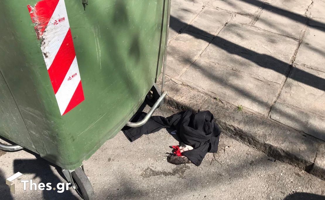 Θεσσαλονίκη γατάκια