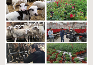 ΠΑΡΑΓΩΓΗΝ: Πηγαίνουμε σε μία Φάρμα Αιγοπροβάτων στην Πέλλα και σε ένα Φυτώριο Καλλωπιστικών Φυτών στην Επανομή