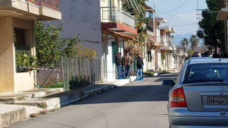 Μακελειό στην Ανδραβίδα: Κάτοικος της περιοχής βασικός ύποπτος για το τετραπλό φονικό