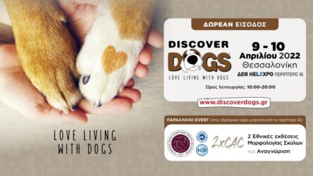DiscoverDogs 2022: Ερχεται τον Απρίλιο στη ΔΕΘ