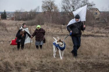 Πόλεμος στην Ουκρανία: Τυφλός φεύγει να σωθεί με τη βοήθεια του σκύλου-οδηγού του
