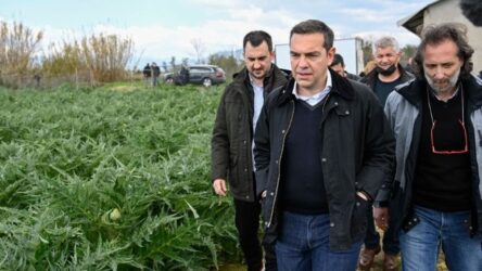 Τσίπρας: “Η ακρίβεια πλέον παίρνει διαστάσεις κοινωνικής κρίσης”