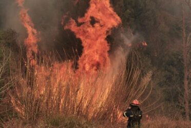 Οι πυρκαγιές καταστρέφουν διπλάσια επιφάνεια δασών σε σχέση με 20 χρόνια πριν
