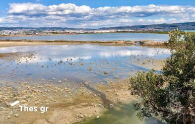 Θεσσαλονίκη: Εντοπίστηκε στο Καλοχώρι το πόδι από το ακέφαλο πτώμα