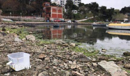 Καλαμαριά: Μπαζότοπο θυμίζει το παραλιακό μέτωπο (ΒΙΝΤΕΟ & ΦΩΤΟ)