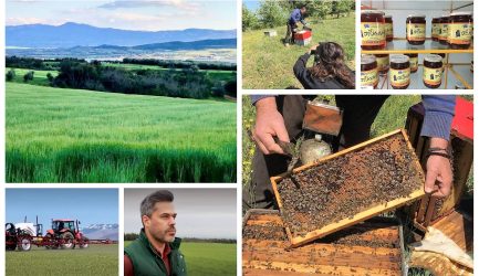 ΠΑΡΑΓΩΓΗΝ: Ταξιδεύουμε στη Νικήτη και γνωρίζουμε το Μέλι Σίθων και μαθαίνουμε για ένα προϊόν θρέψης για τα σιτάρια της εταιρείας Agrology