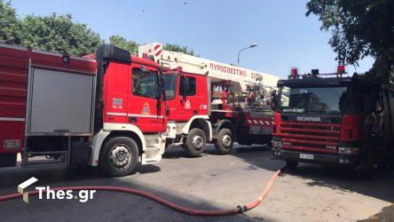 Θεσσαλονίκη: Κινητοποίηση της Πυροσβεστικής για φωτιά στην Περαία