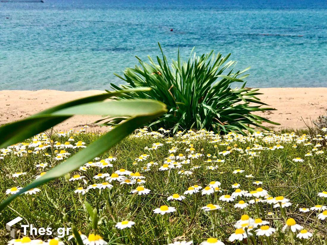 Φανάρι Επανομής θάλασσα παραλία φύση μύτη Θεσσαλονίκη