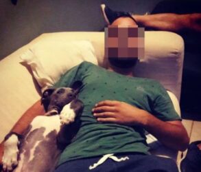 Αιδηψός: Χειροπέδες στον άνδρα που κλώτσησε τη γάτα