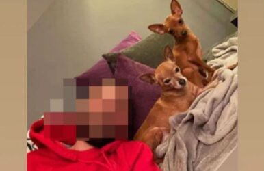 Φιλόζωος δηλώνει ο άνδρας που κλώτσησε τη γάτα σε ταβέρνα (BINTEO)