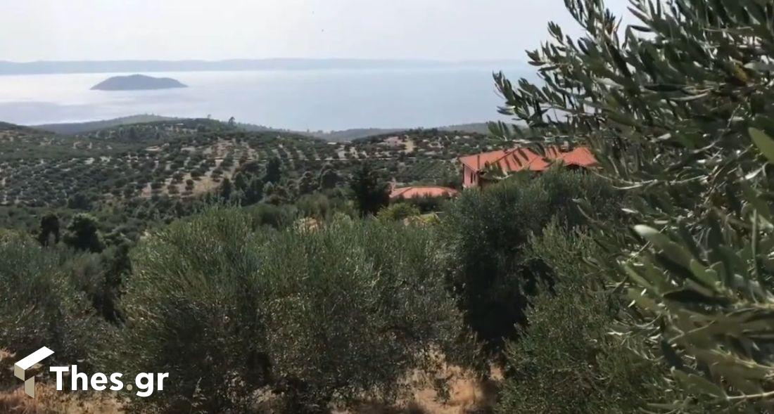 Παρθενώνας Χαλκιδική Σιθωνία θέα Τορωναίος Κόλπος