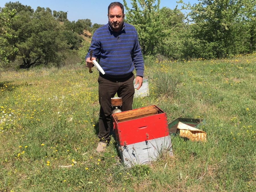 Μελίσσια μελισσοκόμος μέλι Σίθων εκπομπή ΠαράγωΓΗΝ TV100