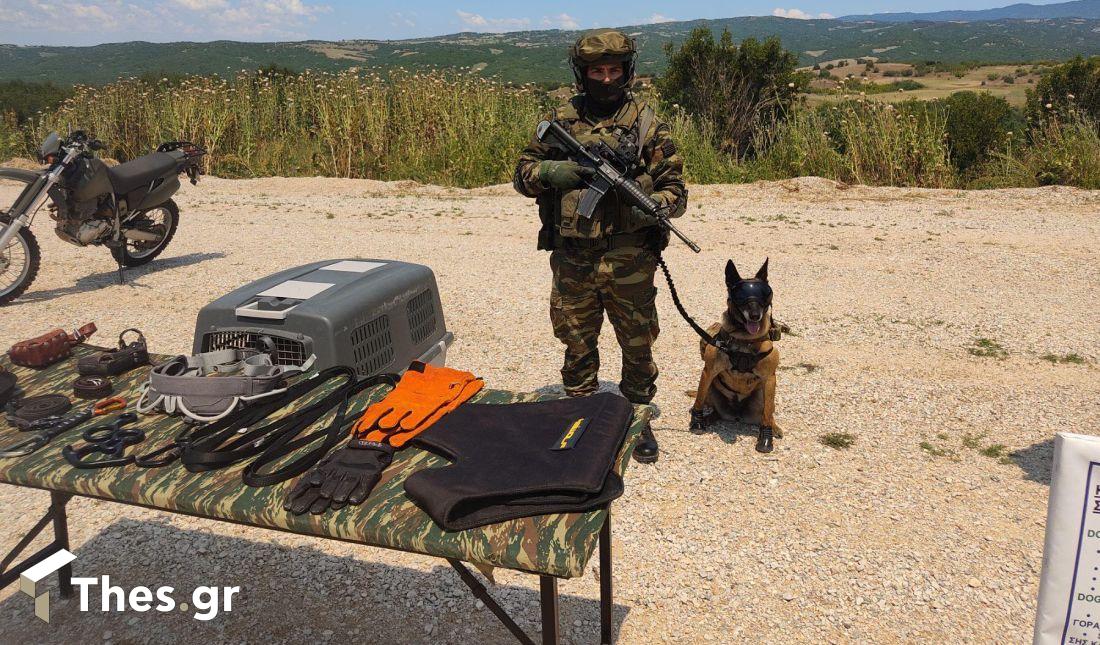 στρατός στρατιωτική άσκηση