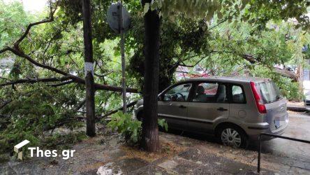 Πτώσεις δέντρων από την καταιγίδα στην Θεσσαλονίκη