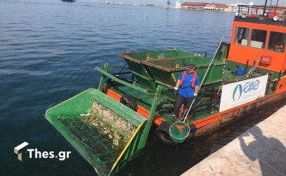 Θεσσαλονίκη: Σε μόνιμη βάση ο καθαρισμός του Θερμαϊκού (ΒΙΝΤΕΟ & ΦΩΤΟ)