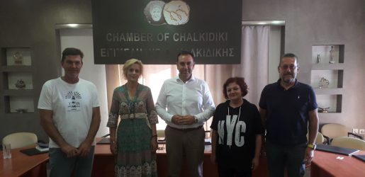 Συνάντηση επαγγελματιών του Στρατωνίου στο Επιμελητήριο Χαλκιδικής