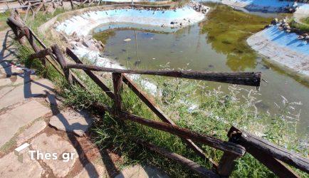 Θεσσαλονίκη: Εστία δροσιάς αλλά με επικίνδυνα σημεία το πάρκο Πεδίον του Αρεως (ΦΩΤΟ)