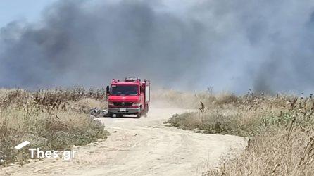Συναγερμός στην Πυροσβεστική: Σε εξέλιξη δύο φωτιές στο Σουφλί
