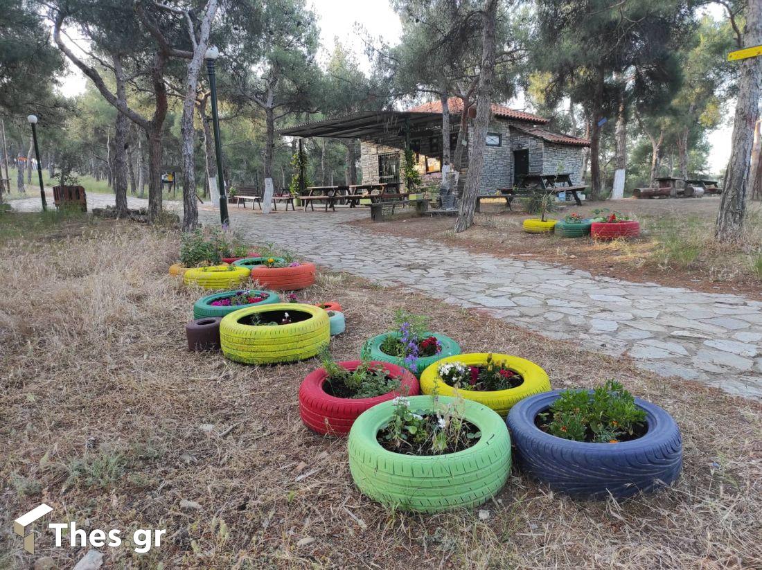 Αλσος Μετεώρων δασάκι Μετέωρα Θεσσαλονίκη